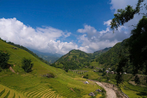 From Hanoi: Sapa 3-Day Trek with Culture and Cozy Bungalow From Hanoi with Sleep Bus & cozy Bungalow