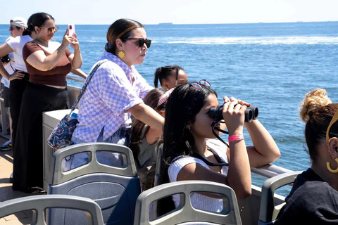 NYC : croisière d&#039;observation des baleines au départ de ManhattanNew York : croisière d&#039;observation des baleines au départ de Manhattan