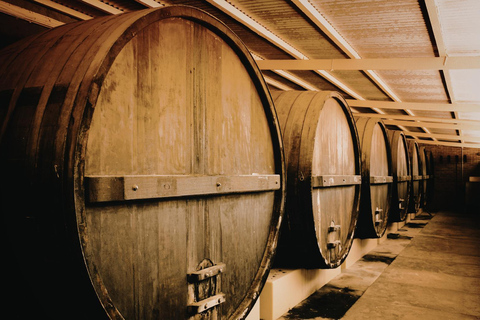 From Bucharest: Dealu Mare Winery Tour & Wine Tasting