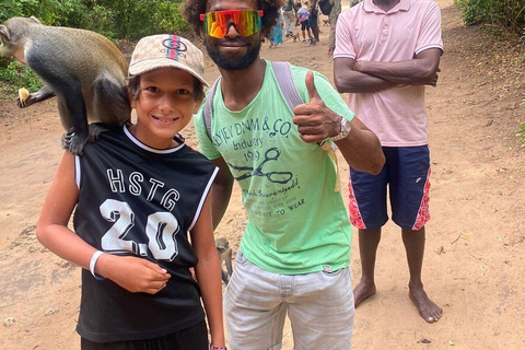 Mombasa: Gede Ruins and Arabuko Sokoke Forest Tour