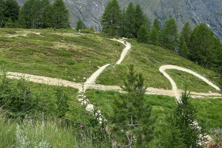 Zermatt: Sunnegga Flow Trail Guided Mountain Bike Tour