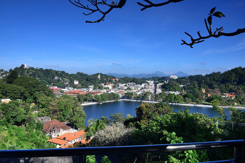 Kandy Highlights & Pinnawala Elephant Experience by Tuk-Tuk