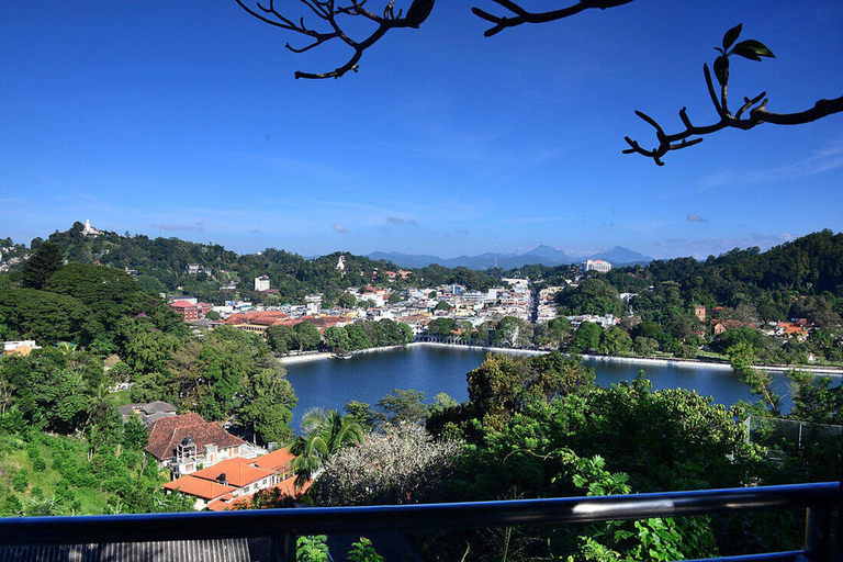 Kandy Highlights & Pinnawala Elephant Experience by Tuk-Tuk