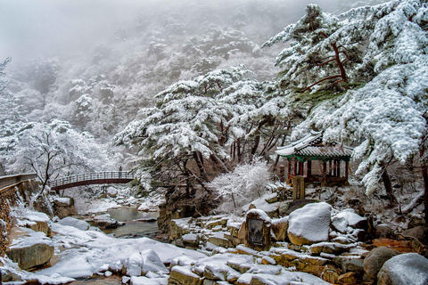Jeonju to Gyeongju/Busan via Haeinsa, Double UNESCO Site
