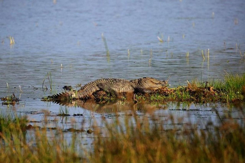 Wilpattu National Park Private Safari with Pickup & Drop Pick up & drop off Colombo City Area