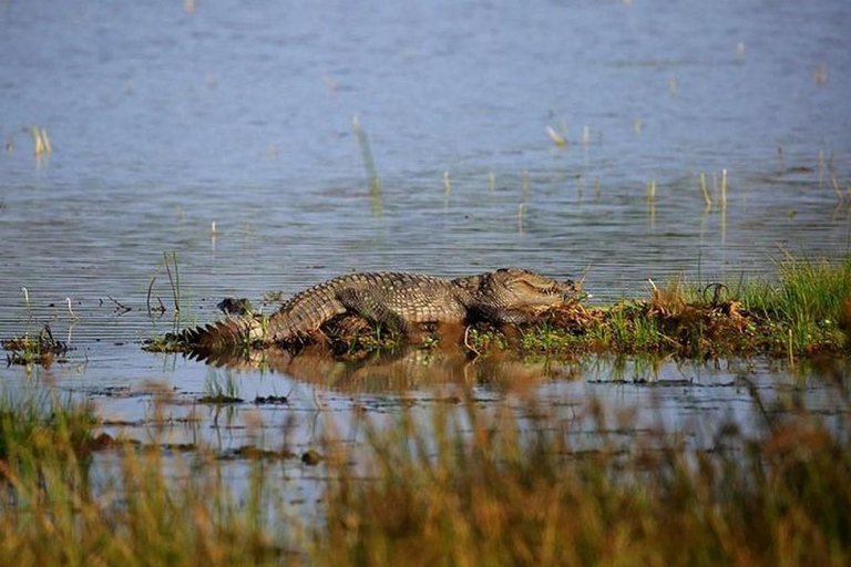 Wilpattu National Park Private Safari with Pickup & Drop Pick up & drop off Colombo City Area