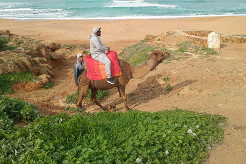 A beautiful day in Tangier from the cruise ship