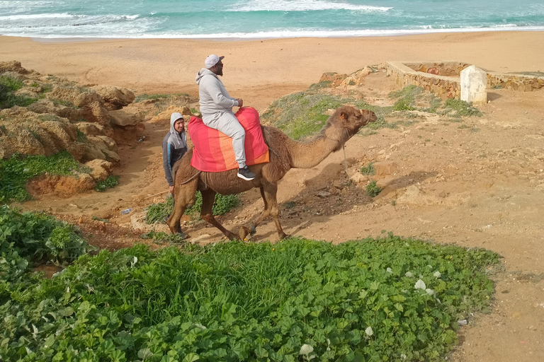 A beautiful day in Tangier from the cruise ship
