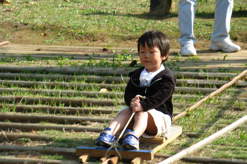 Colors of Japan Noko Island Park Garden e almoço com churrasco de Wagyu