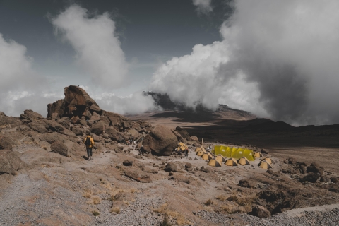 Kilimandscharo: 7-tägige Rongai-Besteigung (+ 2 Hotelübernachtungen)Kilimandscharo: 7-tägige Rongai-Besteigung (+2 Hotelübernachtungen)