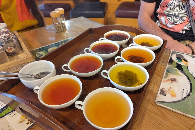 Kandy: Royal Botanical Garden & Tea Factory Tour Pick & Drop Without Entry Ticket in Royal Botanical Garden