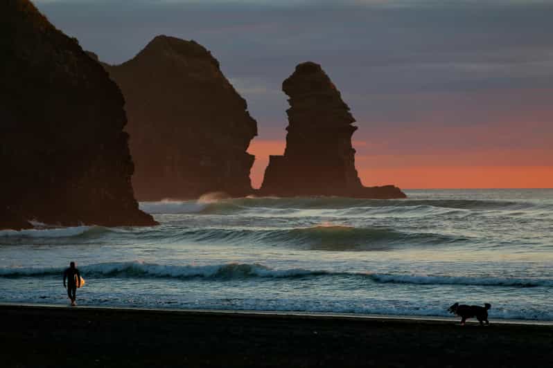 Auckland Private Tour: West Coast Wilderness & Piha Beach