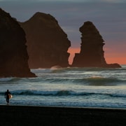 Auckland Private Tour: West Coast Wilderness & Piha Beach Auckland Private Tour: West Coast Wilderness & Piha Beach