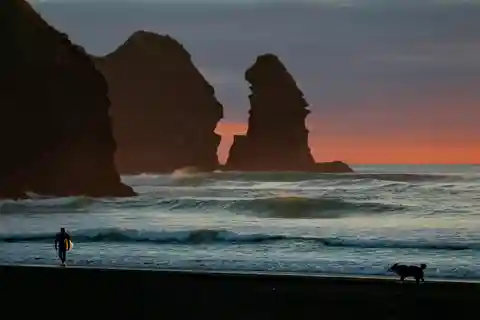 Piha Beach & Wilderness Tour 6hr: Return Trip From Auckland