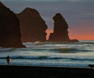 Piha Beach & Wilderness Private Tour: Auckland Half Day Trip