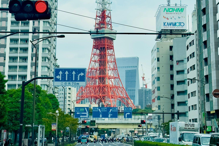 Tour de día completo por la ciudad de Tokio con recogida y regreso