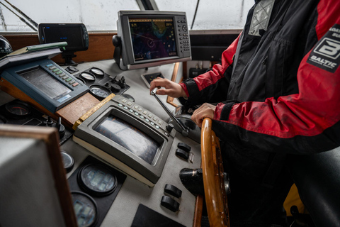 Tromsø: Nocturnal cod fishing with meal.