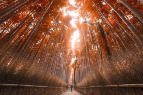 Kyoto / Nara : Kyoto & Nara Private Tour with Driver / Guide Kyoto : Kyoto Private Tour Up To 3 Persons