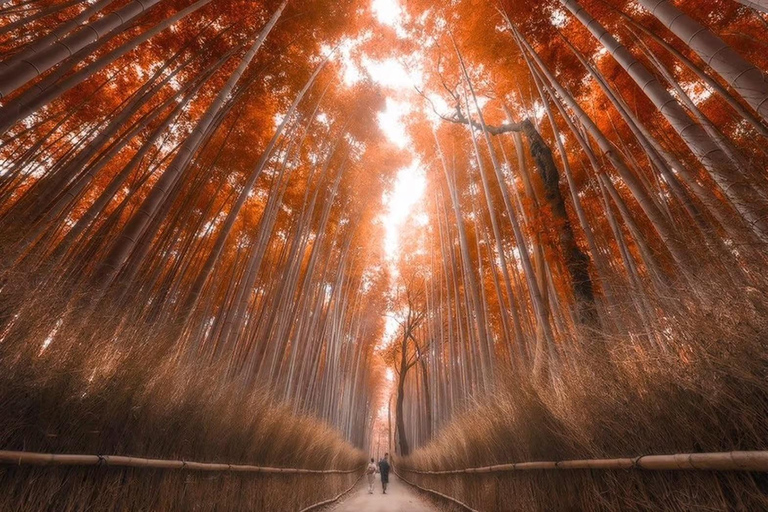 Kyoto / Nara : Kyoto & Nara Private Tour with Driver / Guide Kyoto : Kyoto Private Tour Up To 3 Persons