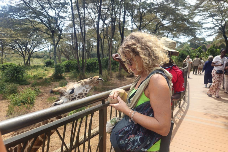 Nairobi: Giraffe Center, Museum of Illusions & Blixen Tour