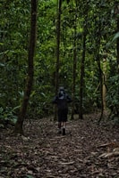 Overnight Sirena & San Pedrillo, Corcovado National Park - Housity