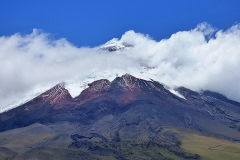 基多：玫瑰、奶酪与火山景观科托帕希一日游基多：玫瑰、奶酪与科托帕希火山一日游