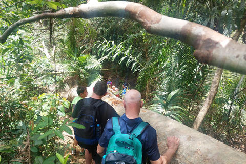 From Phuket: Guided Rainforest Hike with Lunch
