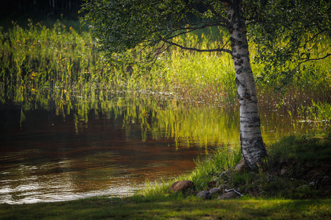 Rovaniemi: Löyly and Legends Finnish Sauna Experience