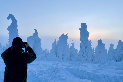 Fairbanks: Arctic Circle Tour with Northern Lights Hunt