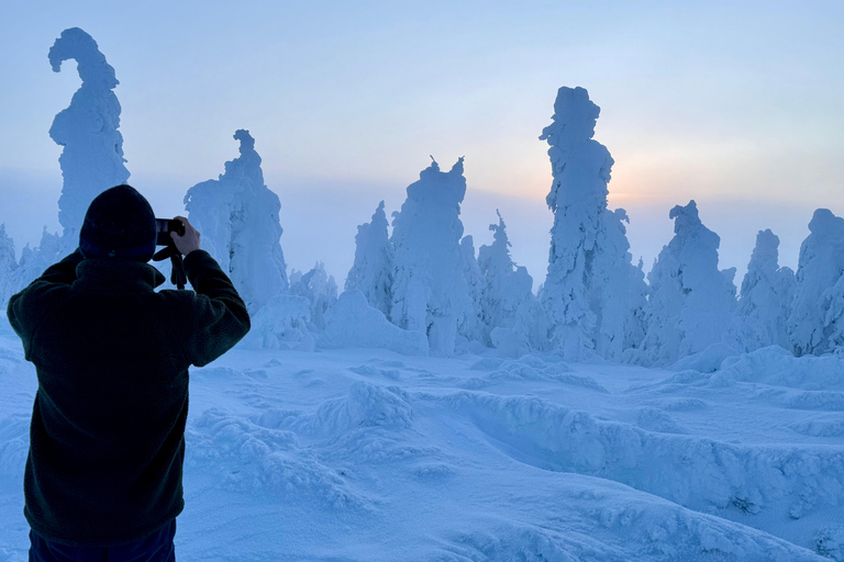 Fairbanks: Arctic Circle Tour with Northern Lights Hunt
