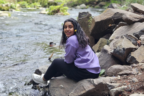 Tbilisi: Dashbashi Canyon & Beshtasheni Private Tour