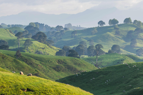 Hobbiton i dolina Rotorua: Wycieczka całodniowa z Auckland