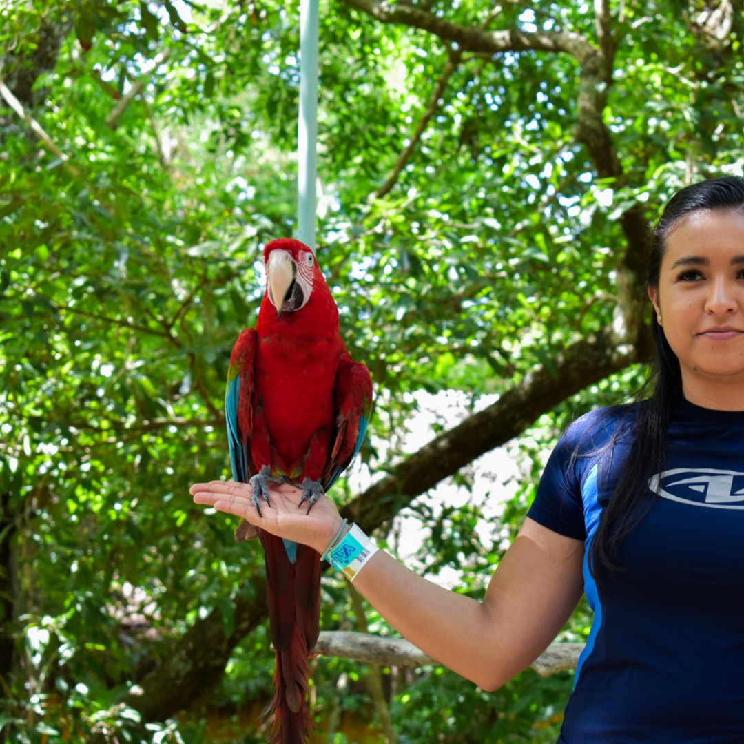 Akumal: Monkey Sanctuary, ATV, Cenote, & Yalku Snorkel Tour