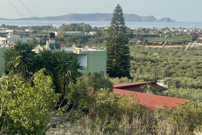 Heraklion: Grill o zachodzie słońca w gaju oliwnymHeraklion: Grill przy zachodzie słońca w gaju oliwnym