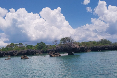 Zanzibar: Excursão de 1 dia ao Safari Blue com churrasco de marisco