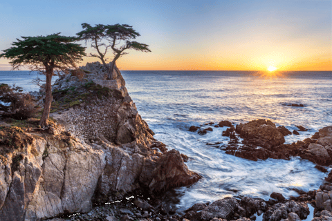 San Francisco: Monterey and Carmel Day Trip w/ 17-Mile Drive From San Francisco: Monterey and Carmel Day Tour