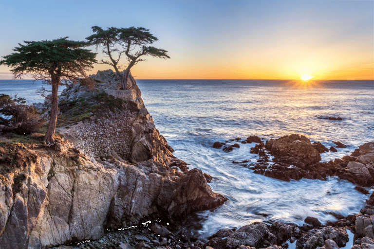 San Francisco: Monterey and Carmel Day Trip w/ 17-Mile Drive From San Francisco: Monterey and Carmel Day Tour
