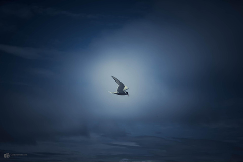 Akureyri: Private Photo tour