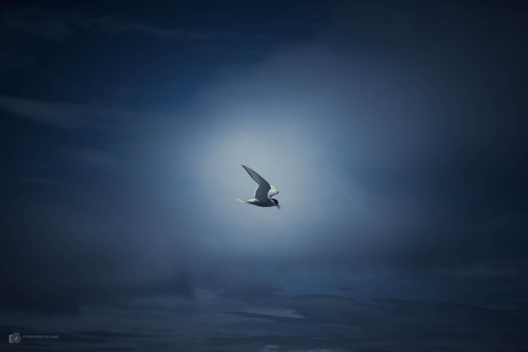 Akureyri: Private Photo tour