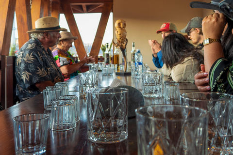 Mezcal, Agave, and Pulque Tour in Oaxaca