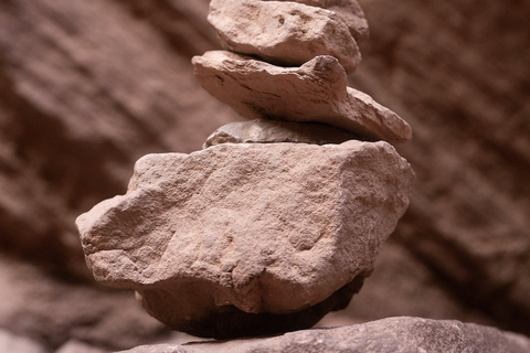Cafayate: Tour de dia completo por bodegas y degustacion de vinos