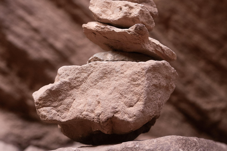 Cafayate: Tour de dia completo por bodegas y degustacion de vinos