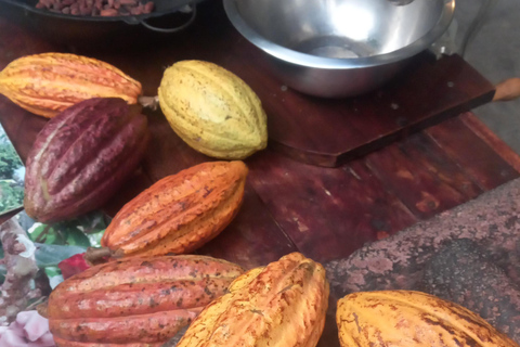 San José: Cacao & Chocolade Workshop