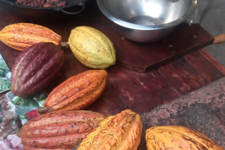 San Jose: Cacao &amp; Chocolate Workshop