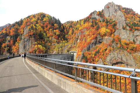 Sapporo in Autumn: Hoheikyo Dam and Hoheikyo Onsen Tour