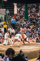 Tokyo, Sumo Tour with Premium Sumo Tournament Ticket - Hizvo