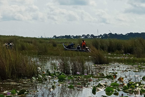 From Kampala: Mabamba Swamp Birding Half-Day Tour From Kampala: Mabamba Swamp Birding Day Tour