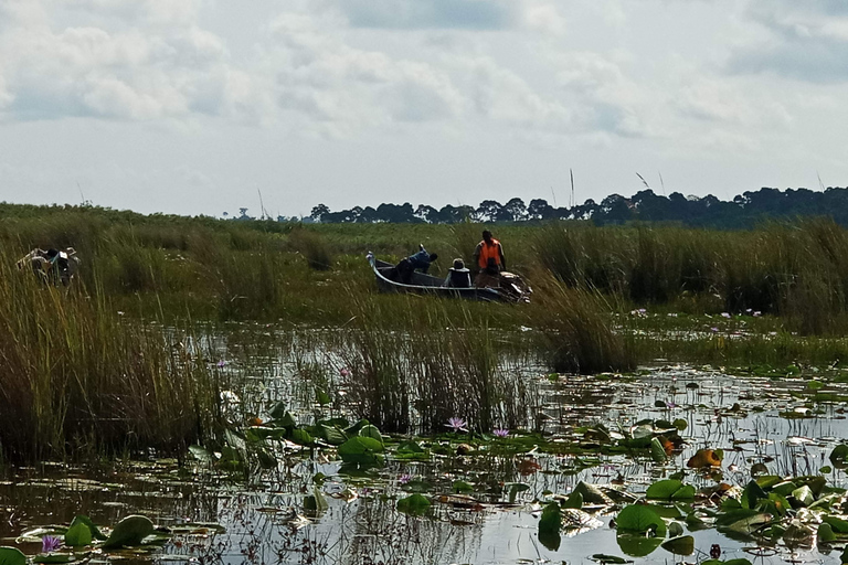 From Kampala: Mabamba Swamp Birding Half-Day Tour From Kampala: Mabamba Swamp Birding Day Tour