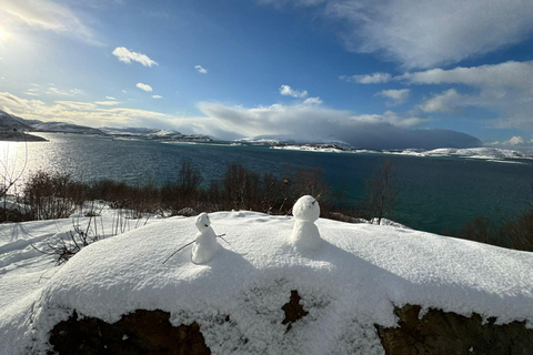 Fjord photo tour to Sommaroy with a 1-hour break