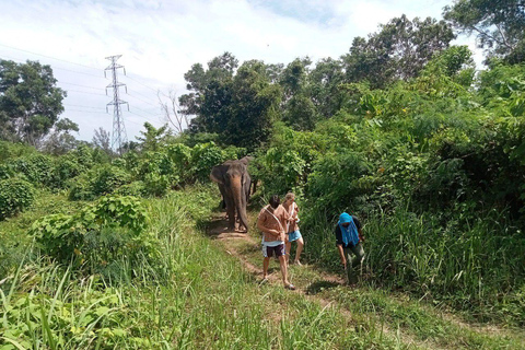 Phuket: Spacer i sadzenie roślin w Parku Przyrody Słoni